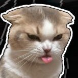 JunioM