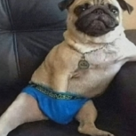 Edu