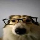 [TNE]ONoobJoga